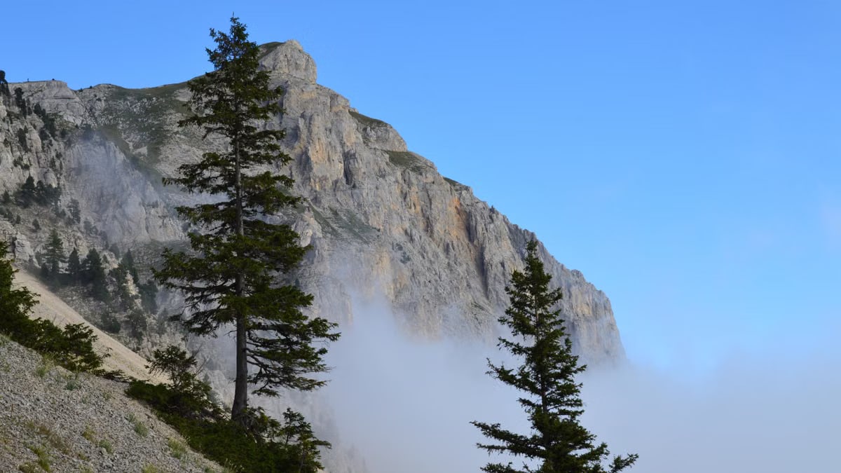 Stunning view of mountains and pine trees in Gresse-en-Vercors, France.